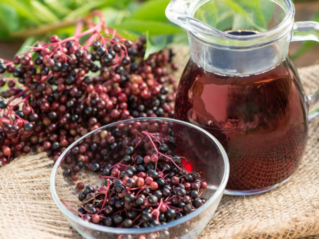 Holundersaft Rezept | EAT SMARTER Holundersaft Rezept | EAT SMARTER