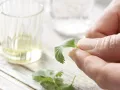 Aprikosen-Ingwer-Schorle Zubereitung Schritt 1 Aprikosen-Ingwer-Schorle Zubereitung Schritt 1