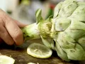 Artischocken klassisch – smarter Zubereitung Schritt 2 Artischocken klassisch – smarter Zubereitung Schritt 2