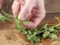 Asiatischer Hähnchensalat Zubereitung Schritt 2 Asiatischer Hähnchensalat Zubereitung Schritt 2