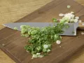 Bandnudeln mit Krebsschwänzen Zubereitung Schritt 4 Bandnudeln mit Krebsschwänzen Zubereitung Schritt 4