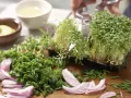 Bunter Wurstsalat – smarter Zubereitung Schritt 5 Bunter Wurstsalat – smarter Zubereitung Schritt 5