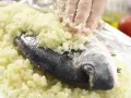 Dorade in der Salzkruste Zubereitung Schritt 5 Dorade in der Salzkruste Zubereitung Schritt 5