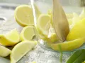 Eingelegte Zitronen Zubereitung Schritt 4 Eingelegte Zitronen Zubereitung Schritt 4