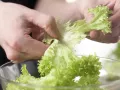Feiner Blattsalat Zubereitung Schritt 1 Feiner Blattsalat Zubereitung Schritt 1