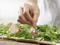 Flammkuchen Zubereitung Schritt 6 Flammkuchen Zubereitung Schritt 6