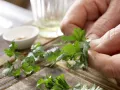 Gebratenes Sauerkraut Zubereitung Schritt 7 Gebratenes Sauerkraut Zubereitung Schritt 7
