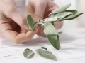 Geschmorter Kürbis mit Salbei Zubereitung Schritt 2 Geschmorter Kürbis mit Salbei Zubereitung Schritt 2