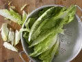 Geschmorter Römersalat Zubereitung Schritt 1 Geschmorter Römersalat Zubereitung Schritt 1