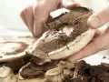 Gratinierte Pilzschnitzel Zubereitung Schritt 8 Gratinierte Pilzschnitzel Zubereitung Schritt 8