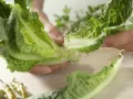 Griechischer Thunfischsalat Zubereitung Schritt 1 Griechischer Thunfischsalat Zubereitung Schritt 1