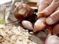 Hähnchenbrust mit Pilzfüllung Zubereitung Schritt 1 Hähnchenbrust mit Pilzfüllung Zubereitung Schritt 1