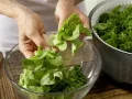 Hefeküchlein mit Salat Zubereitung Schritt 11 Hefeküchlein mit Salat Zubereitung Schritt 11