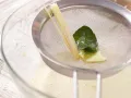 Ingwercreme Zubereitung Schritt 7 Ingwercreme Zubereitung Schritt 7