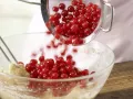 Johannisbeer-Guglhupf mit Dinkelmehl Zubereitung Schritt 5 Johannisbeer-Guglhupf mit Dinkelmehl Zubereitung Schritt 5