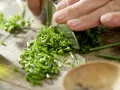 Kalbsfrikadellen Königsberger Art Zubereitung Schritt 5 Kalbsfrikadellen Königsberger Art Zubereitung Schritt 5