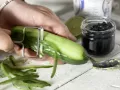 Kalte Avocado-Gurken-Suppe Zubereitung Schritt 4 Kalte Avocado-Gurken-Suppe Zubereitung Schritt 4