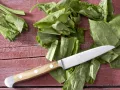 Kalte Gemüse-Cremesuppe Zubereitung Schritt 2 Kalte Gemüse-Cremesuppe Zubereitung Schritt 2
