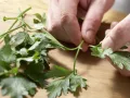 Kartoffelpfanne mit Schinken Zubereitung Schritt 4 Kartoffelpfanne mit Schinken Zubereitung Schritt 4