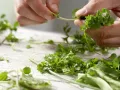 Kräuterkartoffelpüree – smarter Zubereitung Schritt 2 Kräuterkartoffelpüree – smarter Zubereitung Schritt 2