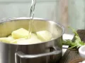 Löwenzahn-Kartoffel-Püree Zubereitung Schritt 2 Löwenzahn-Kartoffel-Püree Zubereitung Schritt 2