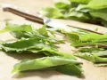 Löwenzahnsalat Zubereitung Schritt 1 Löwenzahnsalat Zubereitung Schritt 1