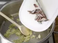Makkaroni mit Fenchelgemüse Zubereitung Schritt 5 Makkaroni mit Fenchelgemüse Zubereitung Schritt 5