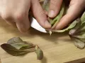 Marinierter Romanesco auf Feldsalat Zubereitung Schritt 6 Marinierter Romanesco auf Feldsalat Zubereitung Schritt 6
