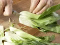 Meeresfrüchte-Pfanne Zubereitung Schritt 5 Meeresfrüchte-Pfanne Zubereitung Schritt 5
