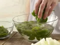 Melonen-Spinat-Saft Zubereitung Schritt 2 Melonen-Spinat-Saft Zubereitung Schritt 2