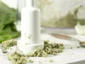 Mexikanische Kürbiskernsauce Zubereitung Schritt 2 Mexikanische Kürbiskernsauce Zubereitung Schritt 2
