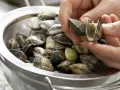Mexikanische Tomatensuppe Zubereitung Schritt 4 Mexikanische Tomatensuppe Zubereitung Schritt 4