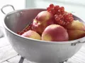 Nektarinen-Johannisbeer-Kuchen Zubereitung Schritt 1 Nektarinen-Johannisbeer-Kuchen Zubereitung Schritt 1