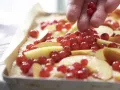 Nektarinen-Johannisbeer-Kuchen Zubereitung Schritt 6 Nektarinen-Johannisbeer-Kuchen Zubereitung Schritt 6