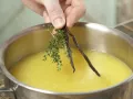 Orangen-Thymian-Gelee Zubereitung Schritt 5 Orangen-Thymian-Gelee Zubereitung Schritt 5