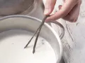 Orangen-Vanille-Creme Zubereitung Schritt 2 Orangen-Vanille-Creme Zubereitung Schritt 2