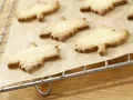Orangenblätter, Nugatstreifen und Kokosringe Zubereitung Schritt 4 Orangenblätter, Nugatstreifen und Kokosringe Zubereitung Schritt 4