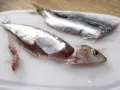 Paprika-Crostini mit Sardinen Zubereitung Schritt 7 Paprika-Crostini mit Sardinen Zubereitung Schritt 7