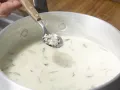Penne mit Meerrettichsauce Zubereitung Schritt 8 Penne mit Meerrettichsauce Zubereitung Schritt 8