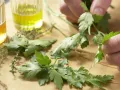 Pilz-Gratin auf Sprossensalat Zubereitung Schritt 3 Pilz-Gratin auf Sprossensalat Zubereitung Schritt 3