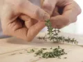 Pilz-Rührei auf Fladenbrot Zubereitung Schritt 4 Pilz-Rührei auf Fladenbrot Zubereitung Schritt 4