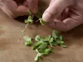 Pizza mit Rosenkohl Zubereitung Schritt 4 Pizza mit Rosenkohl Zubereitung Schritt 4