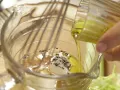Putenstreifen auf buntem Salat Zubereitung Schritt 2 Putenstreifen auf buntem Salat Zubereitung Schritt 2