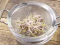 Radieschen-Sprossen-Salat Zubereitung Schritt 4 Radieschen-Sprossen-Salat Zubereitung Schritt 4