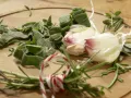 Rehkarree aus dem Ofen Zubereitung Schritt 8 Rehkarree aus dem Ofen Zubereitung Schritt 8