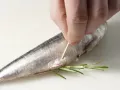Rosmarin-Sardinen Zubereitung Schritt 3 Rosmarin-Sardinen Zubereitung Schritt 3