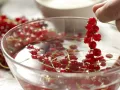 Rotes Johannisbeergelee Zubereitung Schritt 1 Rotes Johannisbeergelee Zubereitung Schritt 1