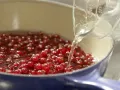 Rotes Johannisbeergelee Zubereitung Schritt 3 Rotes Johannisbeergelee Zubereitung Schritt 3