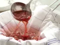 Rotes Johannisbeergelee Zubereitung Schritt 4 Rotes Johannisbeergelee Zubereitung Schritt 4