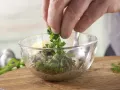 Rucolasalat mit Oliven-Crostini Zubereitung Schritt 3 Rucolasalat mit Oliven-Crostini Zubereitung Schritt 3
